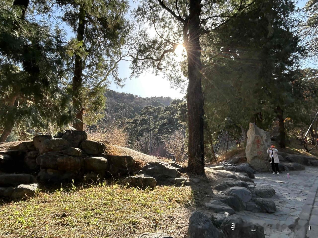 北京香山公园里，阳光透过树的枝桠照进来，很美！

香山公园的坡不是很陡，很适合我