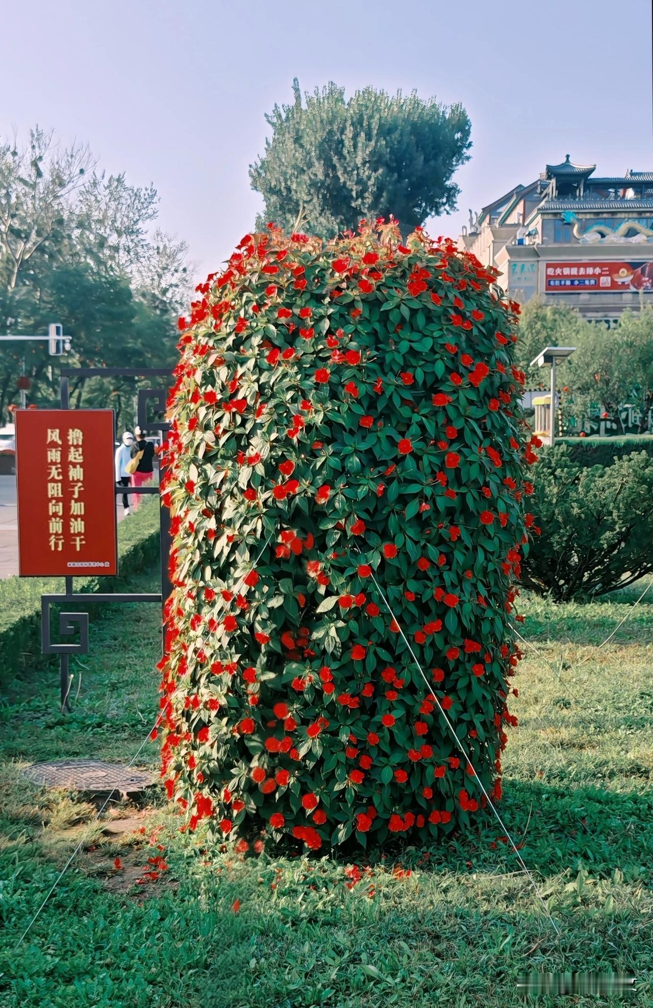 秋日生活打卡季河北省承德市避暑山庄入口停车场附近，优美的花坛造型，堪称一道靓丽的