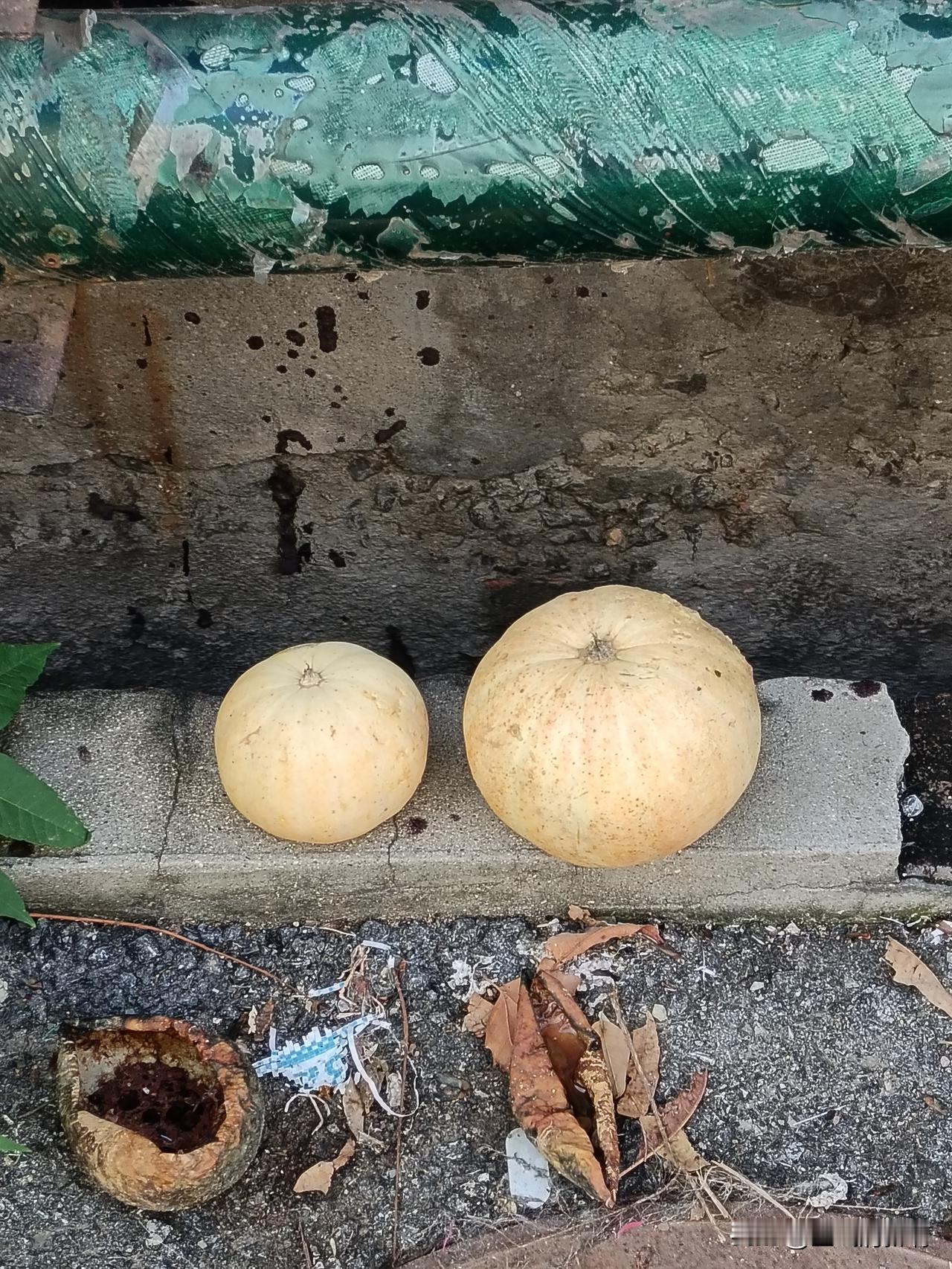 朋友说你发现没，
一天明明就二十四小时，
咱小时候，
过一天非常慢，
这一天能干