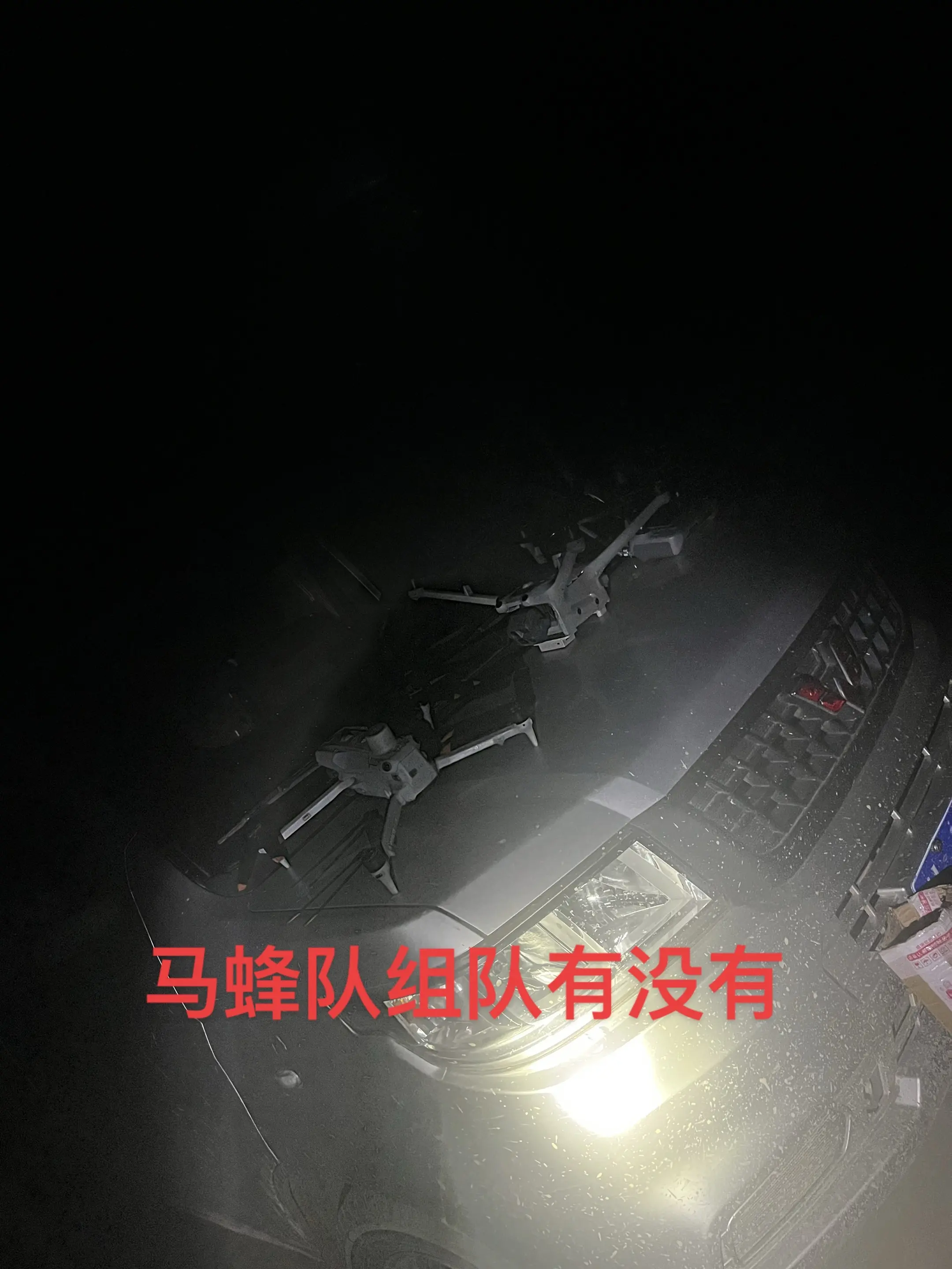 来了 有没有一起组队找马蜂的