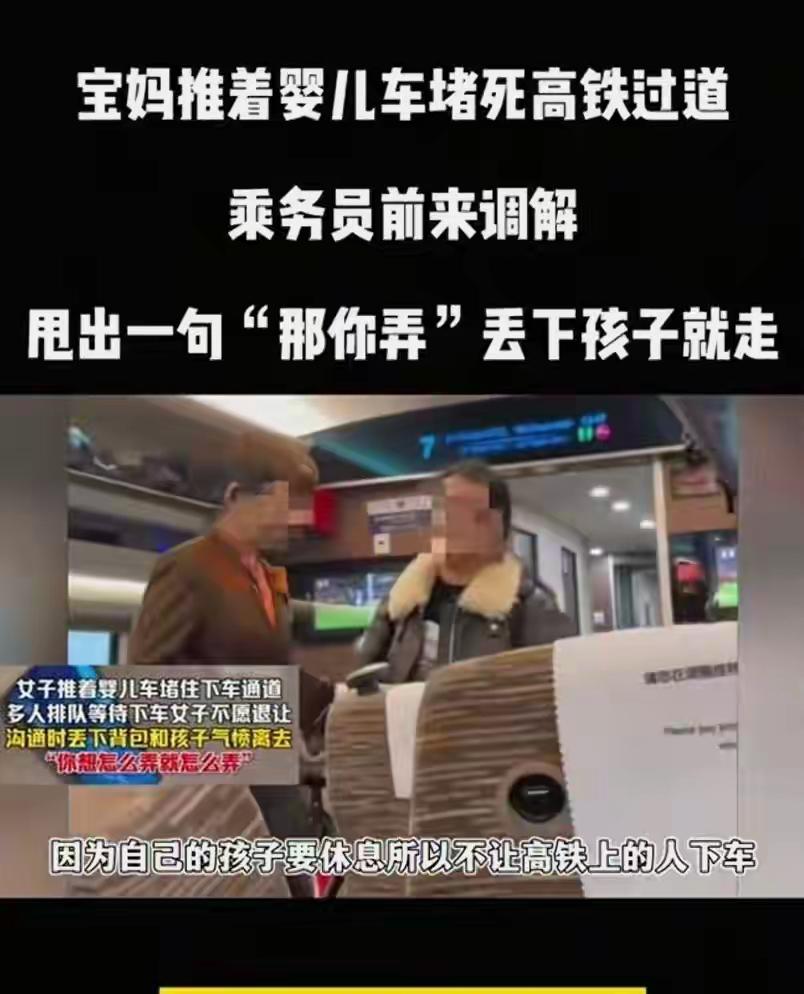 2025年11月7日，武汉开往北京的G27次高铁上发生一起纠纷。一名女子推婴儿车