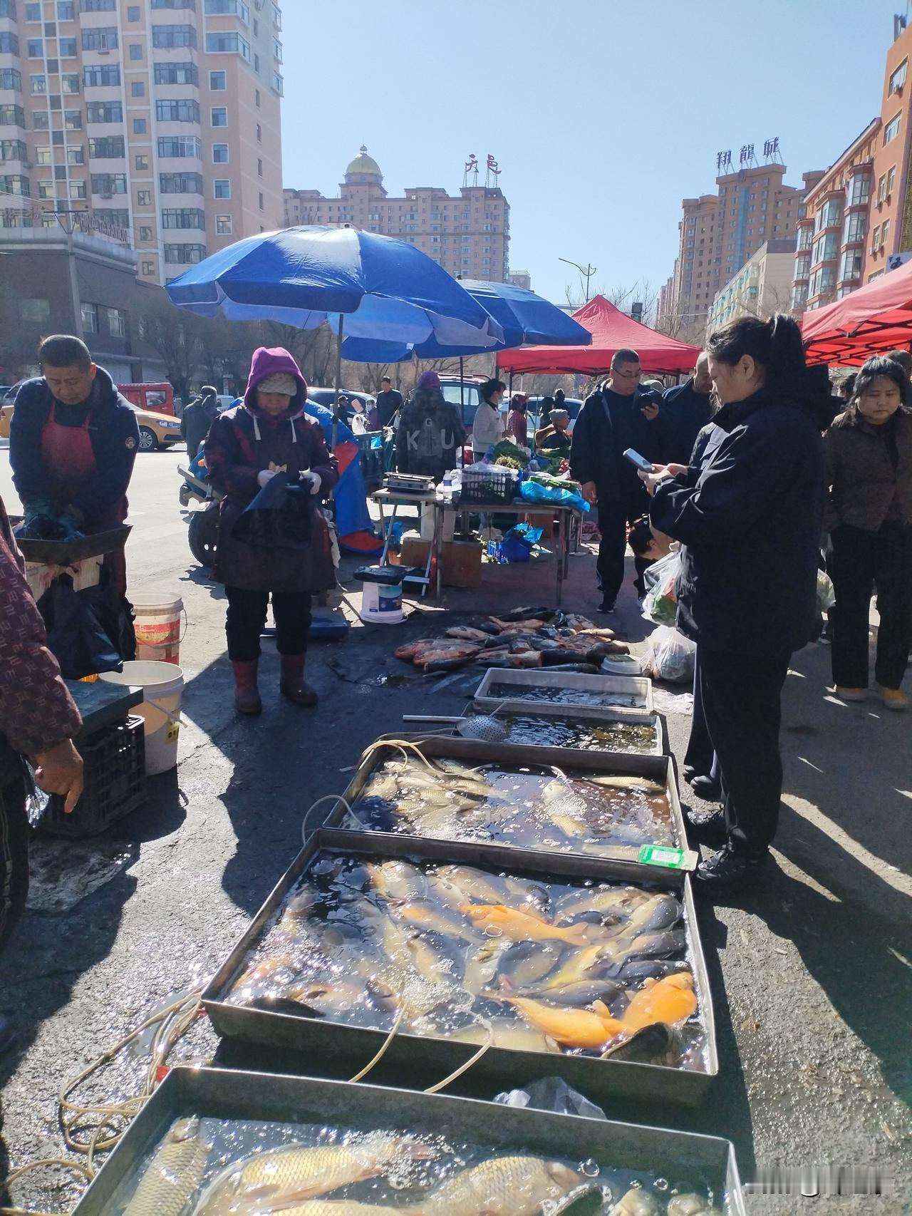 这里是黑龙江省肇东市十七道街的早市。
   若说清晨烟火气最旺的地方，非这里莫属