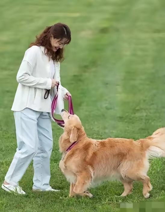 周海媚去世之后，李勤勤就收养了她的两只爱犬，现在转眼周海媚离开我们也有两年多了，