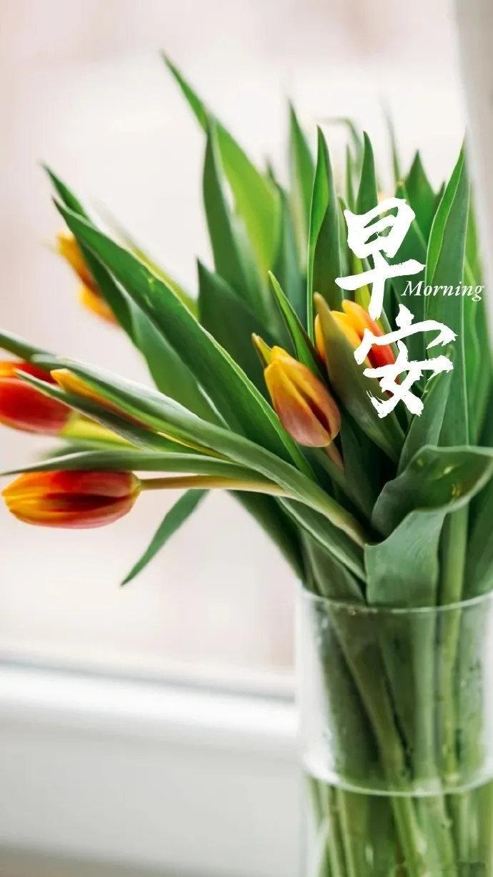 每一个清晨，都是生活的起航。愿生活，充满阳光；愿身体，健健康康；愿心情，快乐舒畅