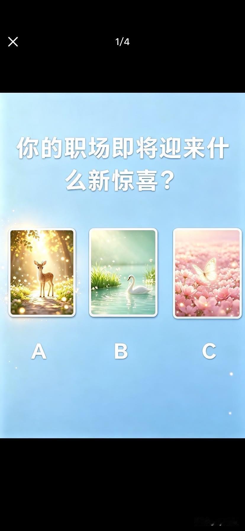 么新惊喜?