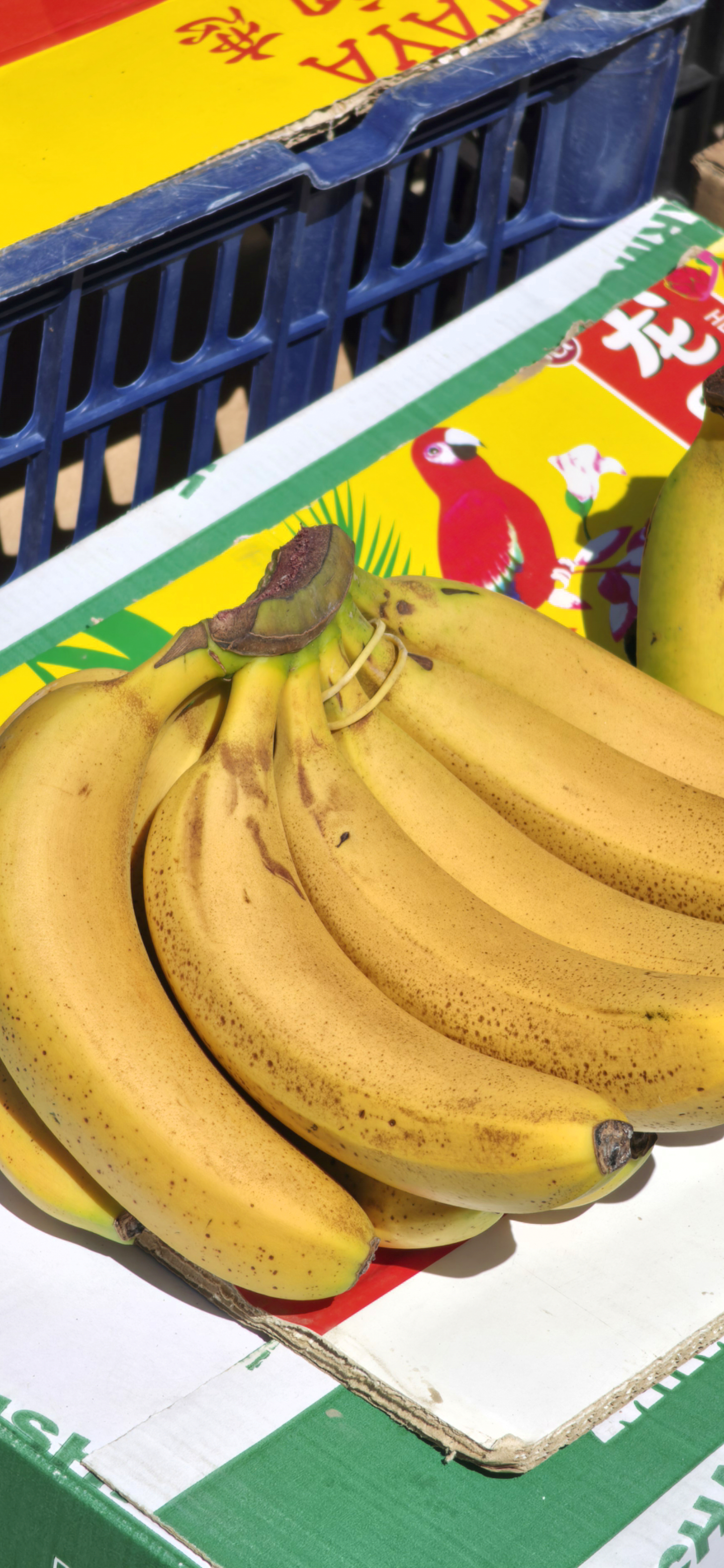 真实肉眼看到的样子 vs 你在网上经常看到的鲜明照片，差距巨大，但是长期灌输下，