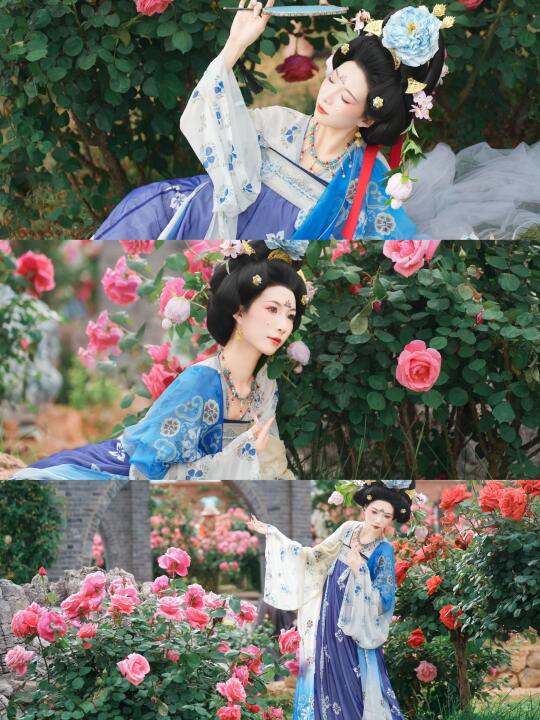 昆明莫奈花园--庾园月季花