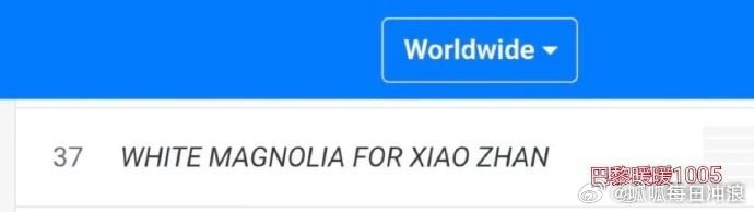 肖战带着白玉兰上世趋了，这应该是白玉兰首次上世趋？ 