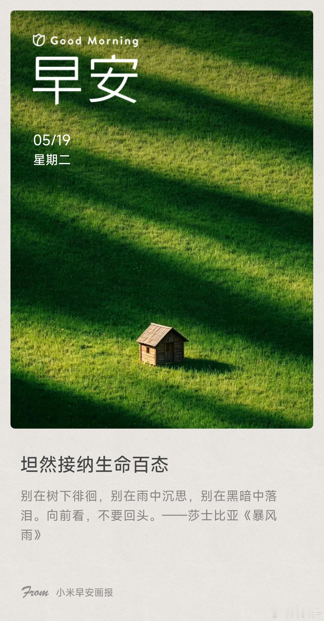 坦然接纳生命百态： 别在树下徘徊，别在雨中沉思，别在黑暗中落泪。向前看，不要回头