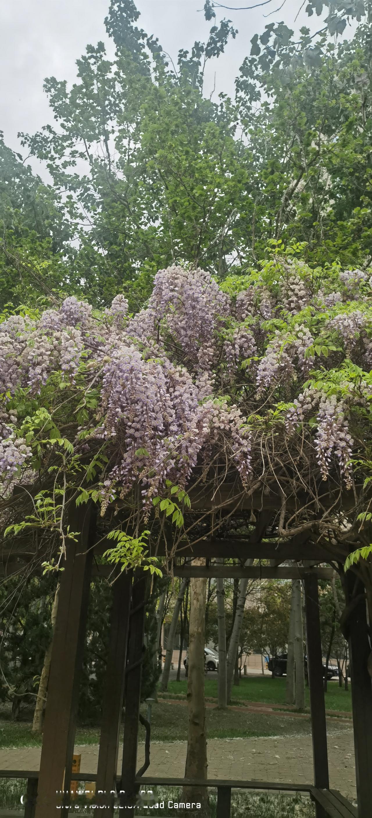 给运河区青山社区的工作人员点个赞！

今天上午，到青山社区去交办理房证的材料，因