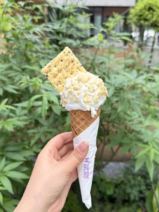 巨巨巨巨好吃的咸味苏打饼干Gelato