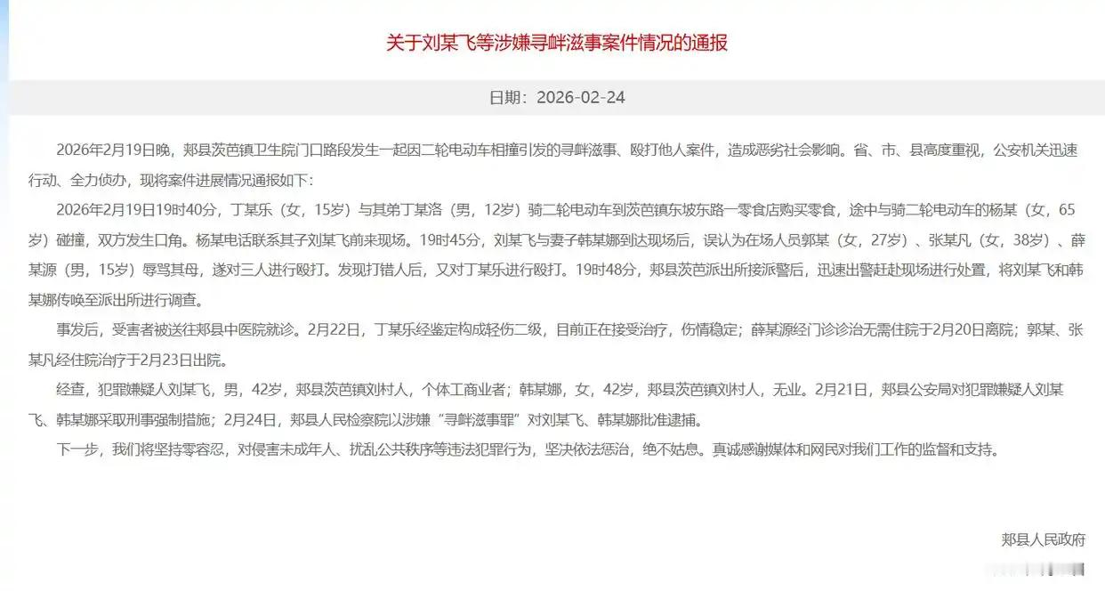 【河南平顶山再通报打人事件：刘某飞夫妻涉嫌“寻衅滋事罪”被批捕】平顶山打人夫妻涉