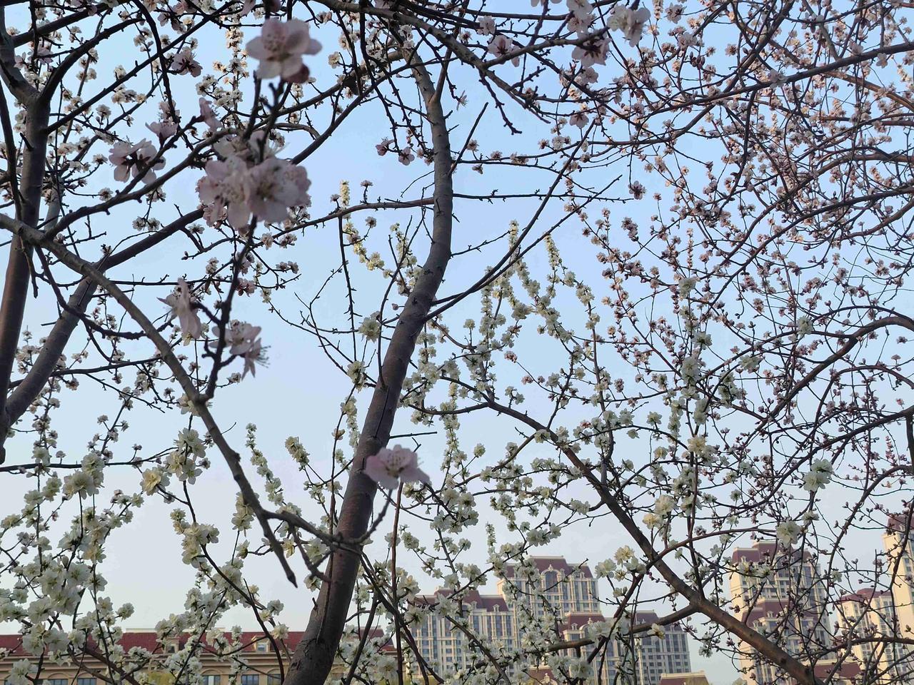 我的今日状态：💰期待暴富
我这里的天气：☀️晴天