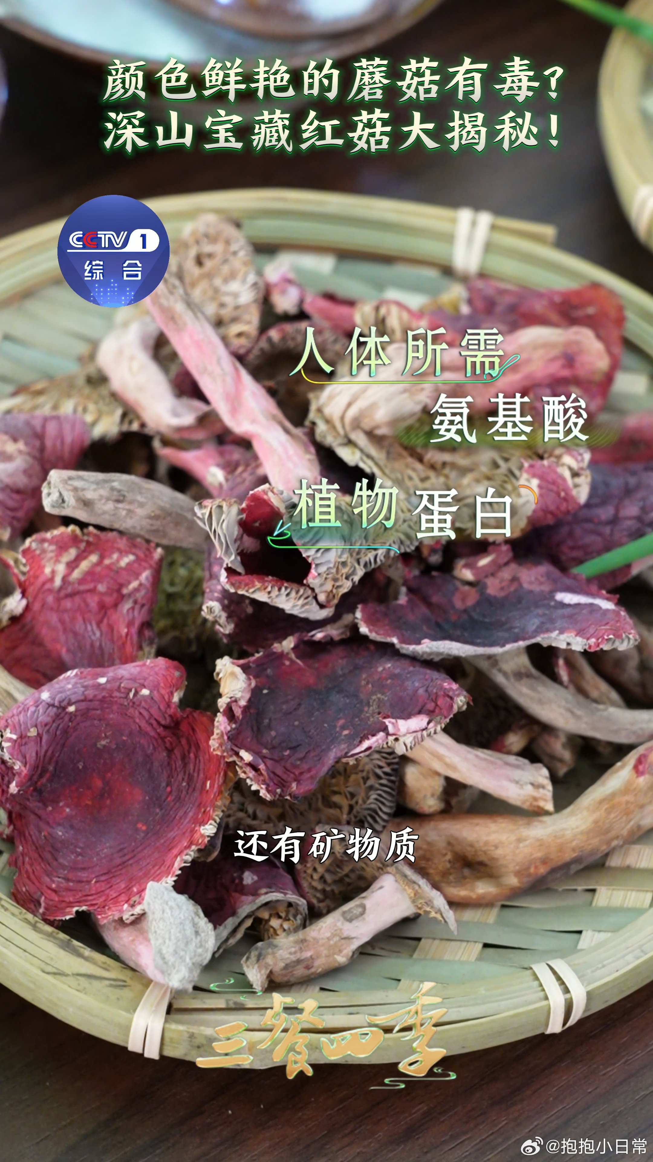 福建红菇打破蘑菇界颜值偏见 你还在以为颜色鲜艳的蘑菇有毒吗？福建红菇凭借丰富的氨