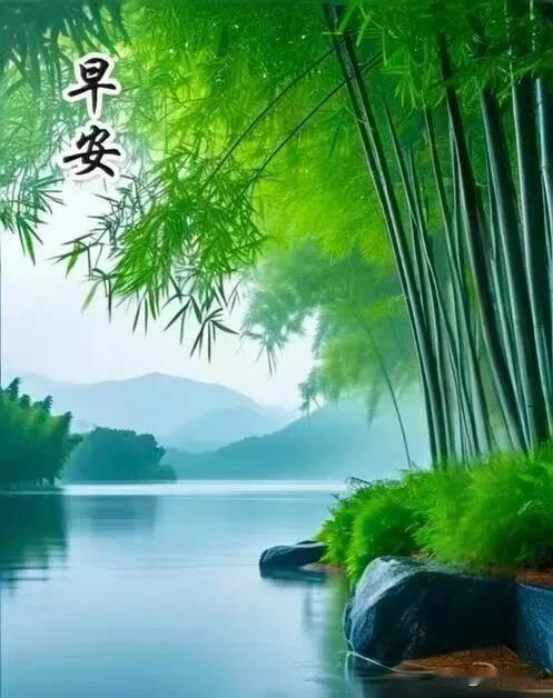 早安！不必追赶别人，认真走好自己的每一步，时光不会辜负努力