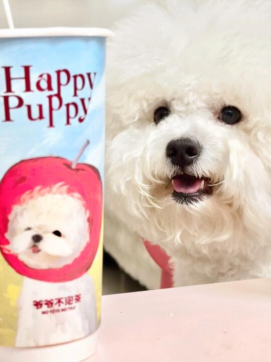 谁是我的好苹友🍎