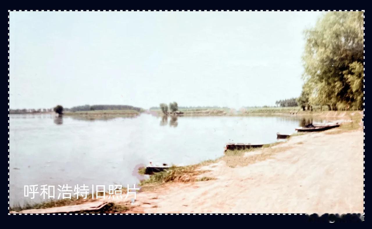 #呼市原创旧照片分享# 你知道呼和浩特九十年代曾经有一处不小的天然湖吗，草肥水美