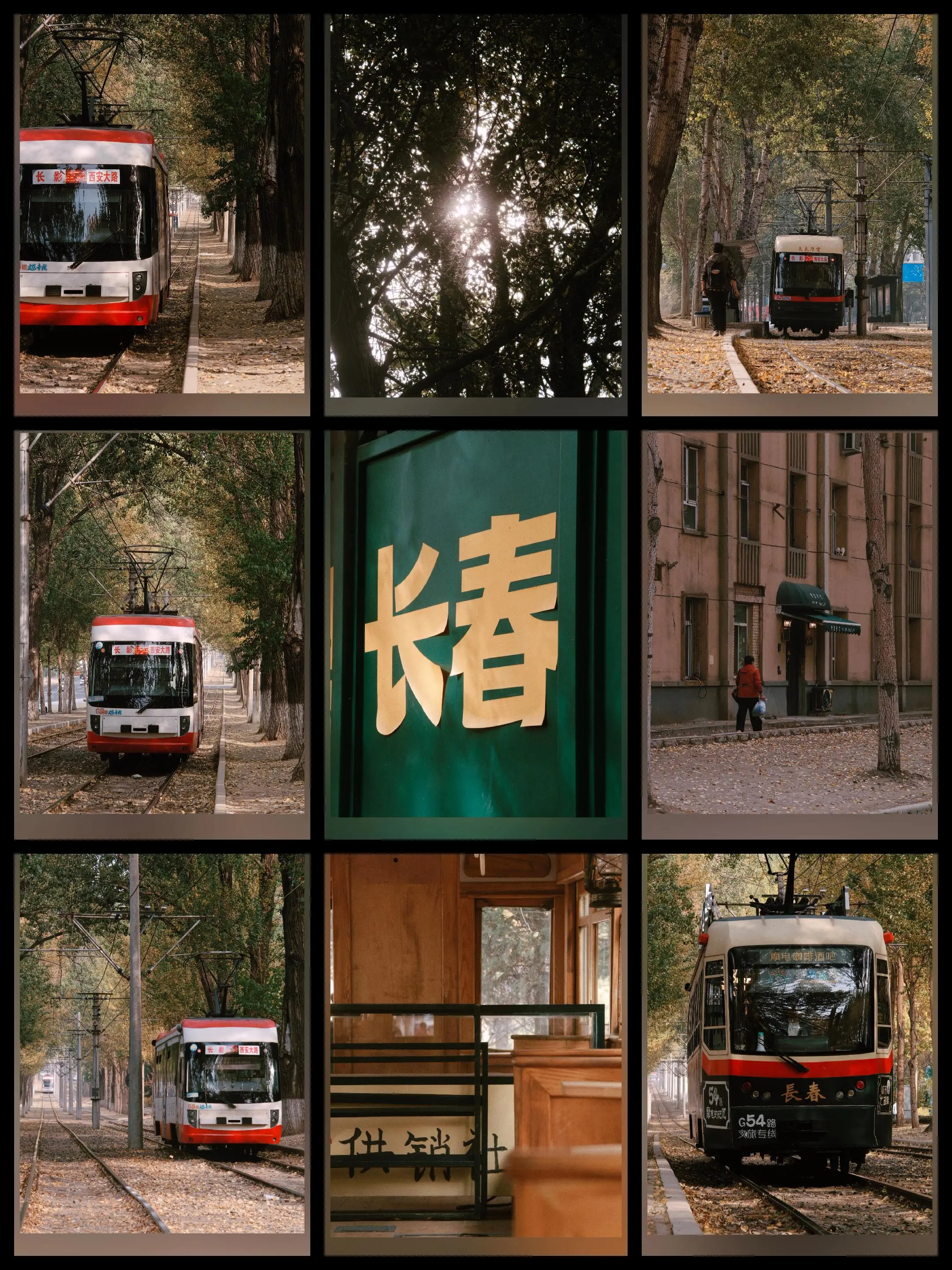 每年都要来长春南阳路转几圈，秋天一次 冬天一次  每次都有新收获  ?...