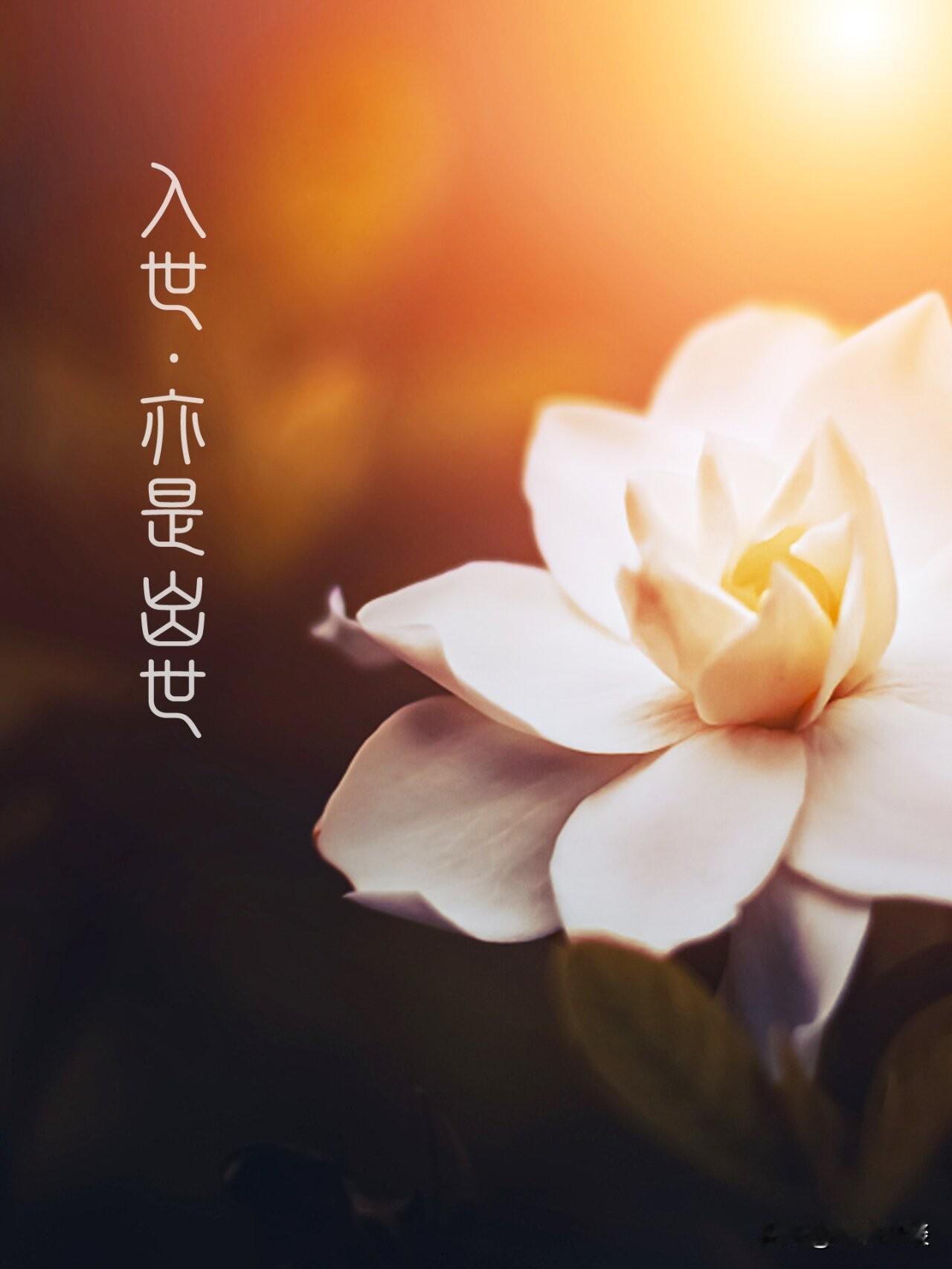 一段非常扎心的话：

有些人总把情史当战绩，把暧昧当本事，把睡过多少人当成自己魅