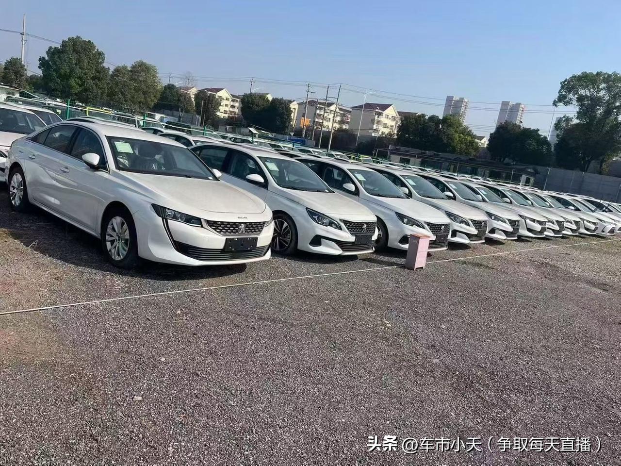 目前市面上还存在一部分2020款的标致408，360十周年质臻版。这个配置指导价