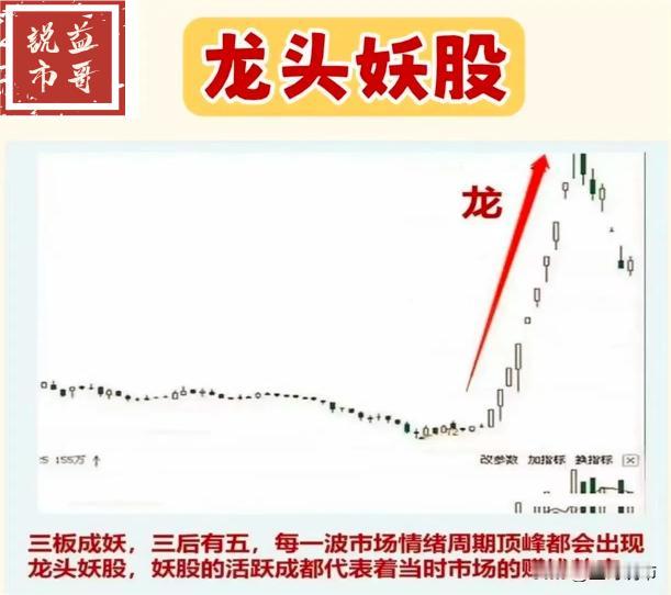 炒股，只做龙头，不做杂毛！炒股的时候，要专注于投资那些市场上的领头羊股票，而不是