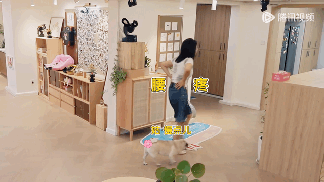 尚雯婕李雪琴没听何炅的 尚雯婕踩着助步车，还跑去看花花玩偶，结果摔了个四仰八叉，