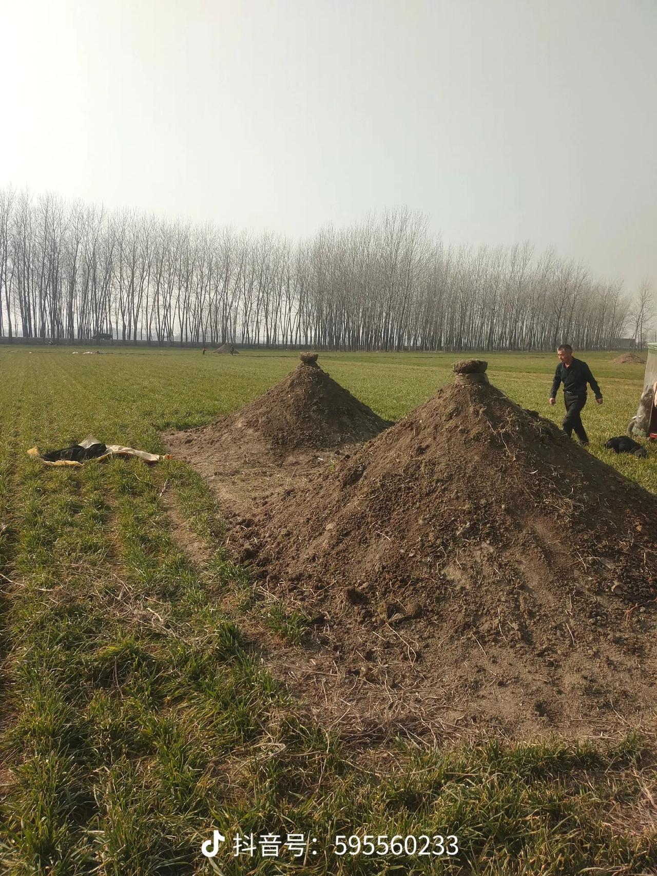 这是发生在我身边真实的事情。一个女的她妹妹喝农药去世了， 埋葬了很多年没人去给她