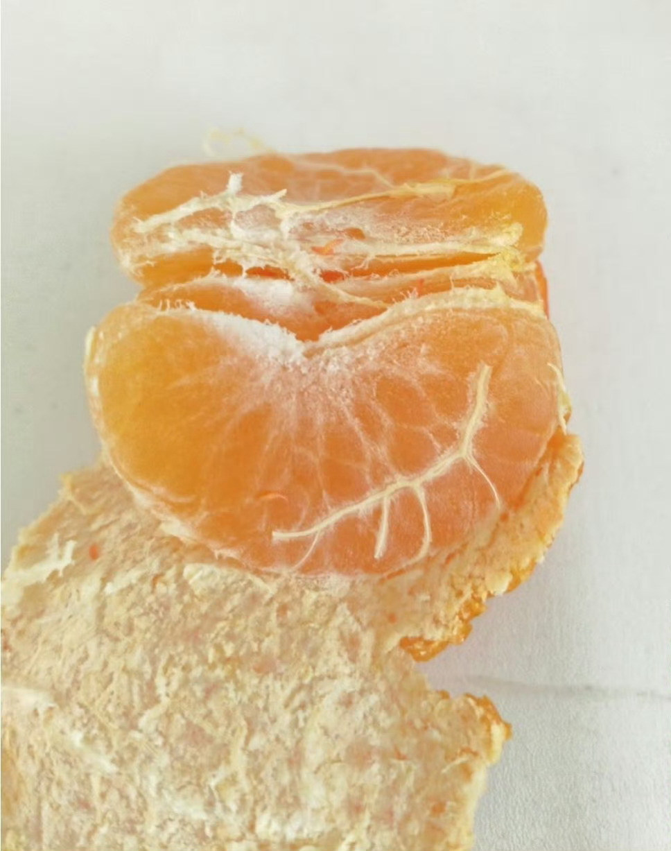 爱吃橘子的人天塌了有些东西自己看就够了不要这么有分享欲！！！吃了这么多年🍊没见