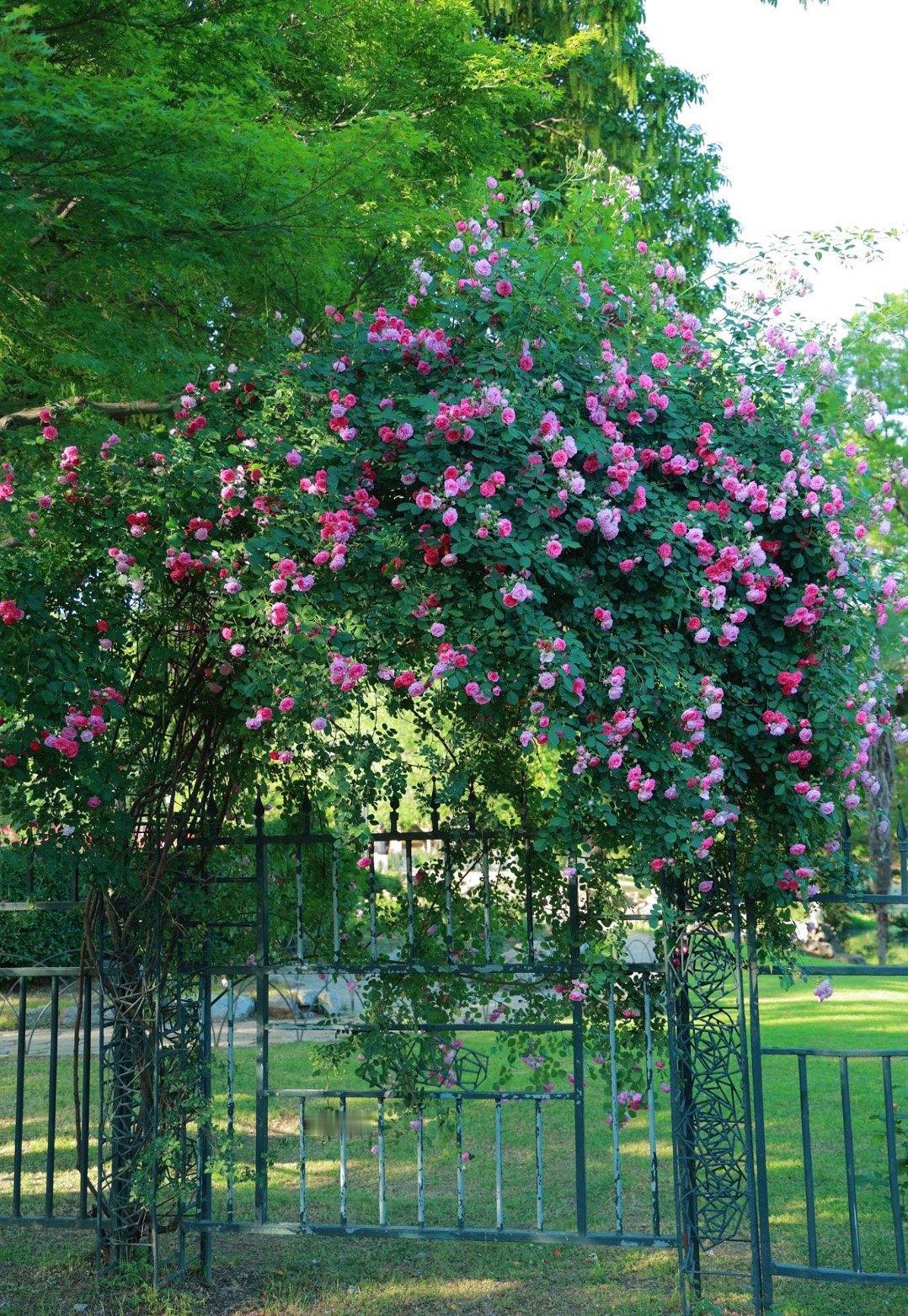 小朋友玩手机的时候，一个小时呼啦一下就过去了，但是做作业的时候，怎么也做不了 1