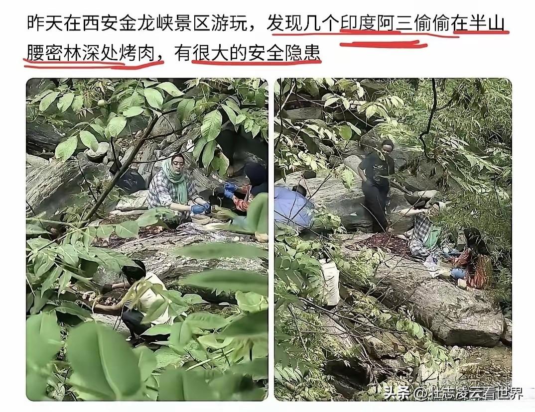 好大的胆子哟，几个老外居然在金龙峡半山腰密林生火烤肉，要是失火怎么得了！
这件事