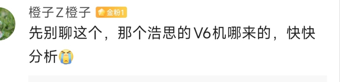这个我已经说过多次了，内部有一股西化逆流试图复辟欧式运动车，多缸机、纵置混动变速