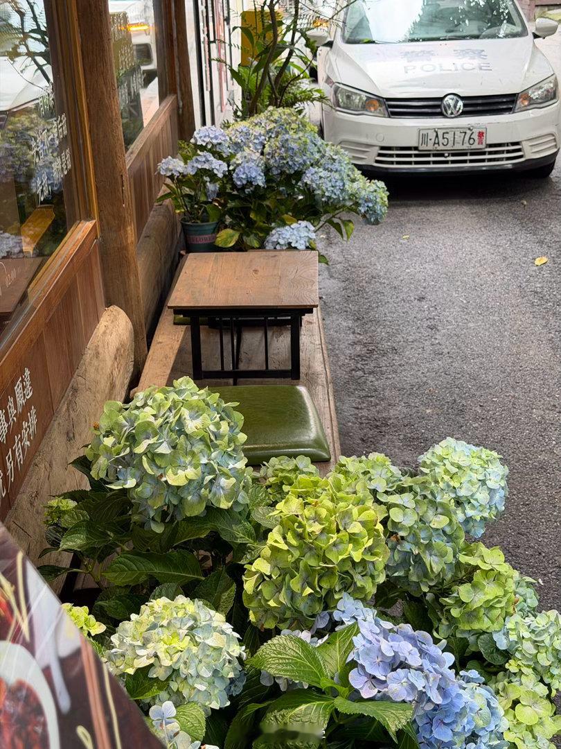 十一美美打卡十一接力打卡 在成都望平街，浪费一个下午也很值得🍵-在望平街随便走
