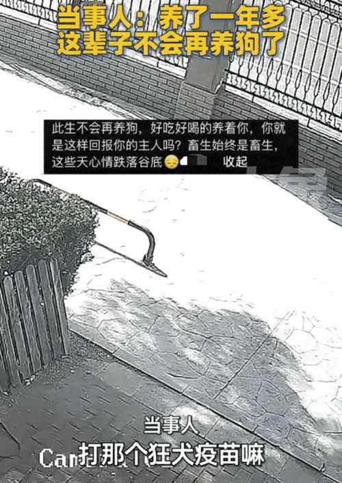 天津一女子这天拉着自己养了一年多的狗子出门溜达，不料遛完狗后，女子准备拉着狗子回