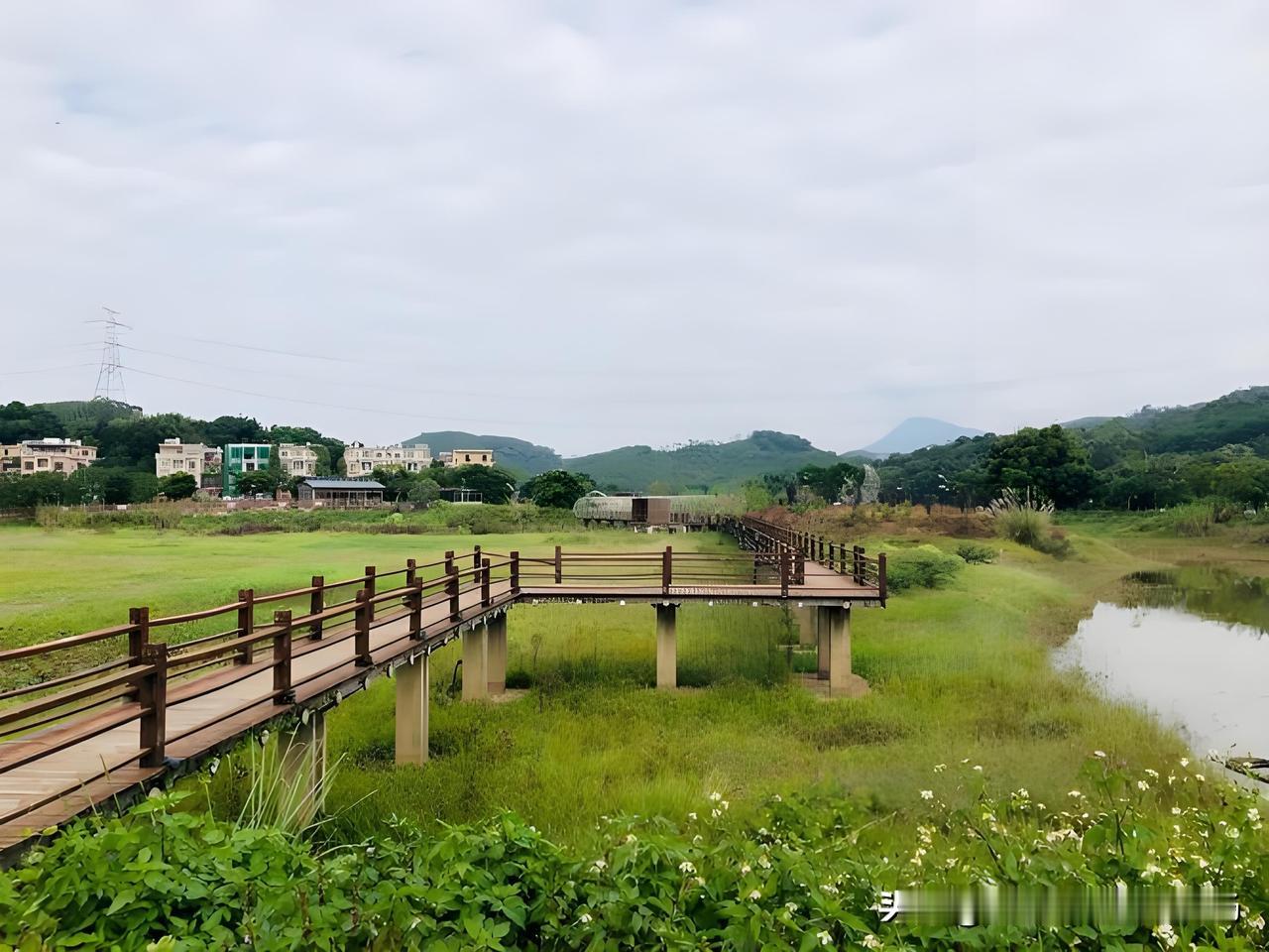 中央纪委通报新余国资案例：为冲政绩盲目24亿收购装修上市公司*ST奇信，未尽职调
