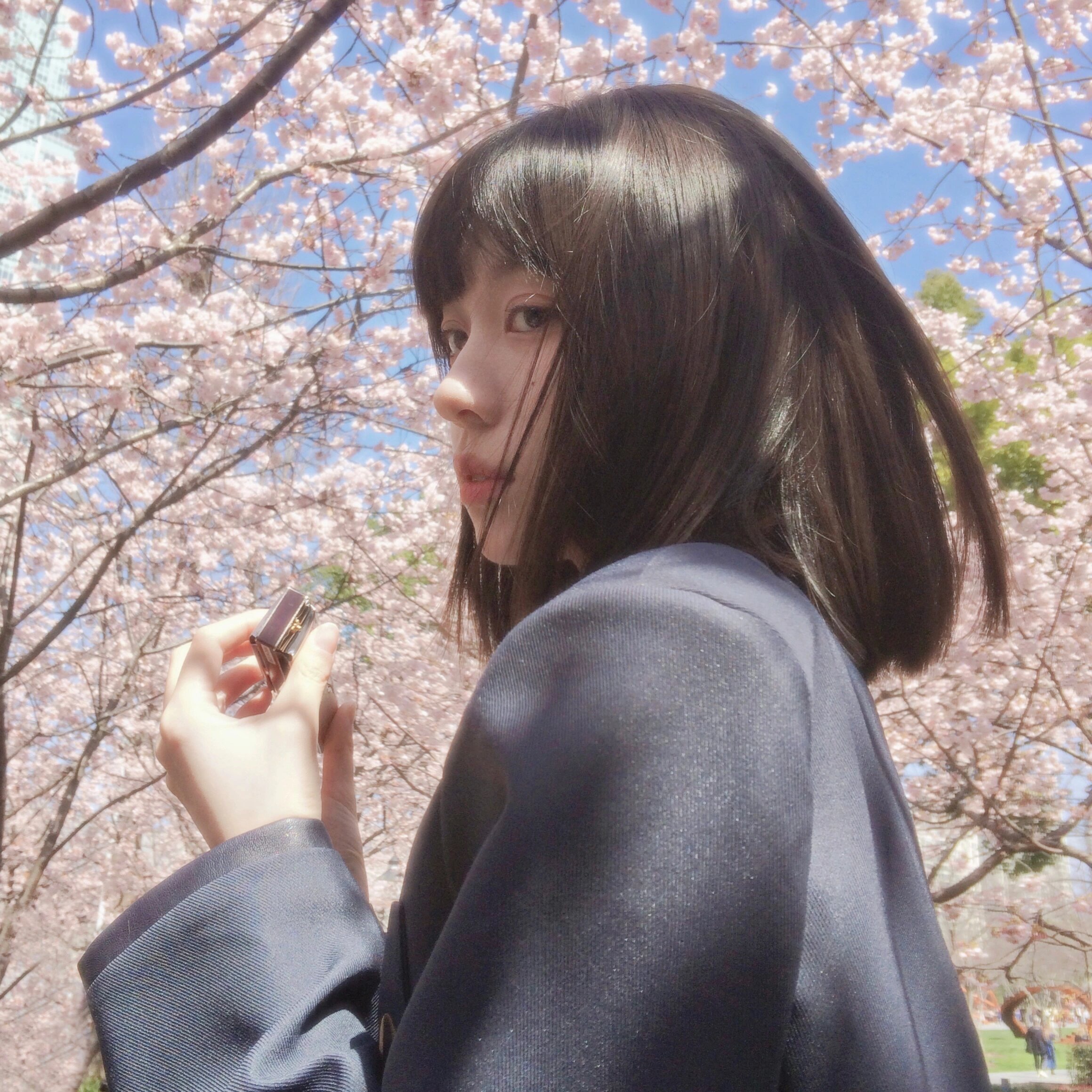 🌸：📷：​​​
