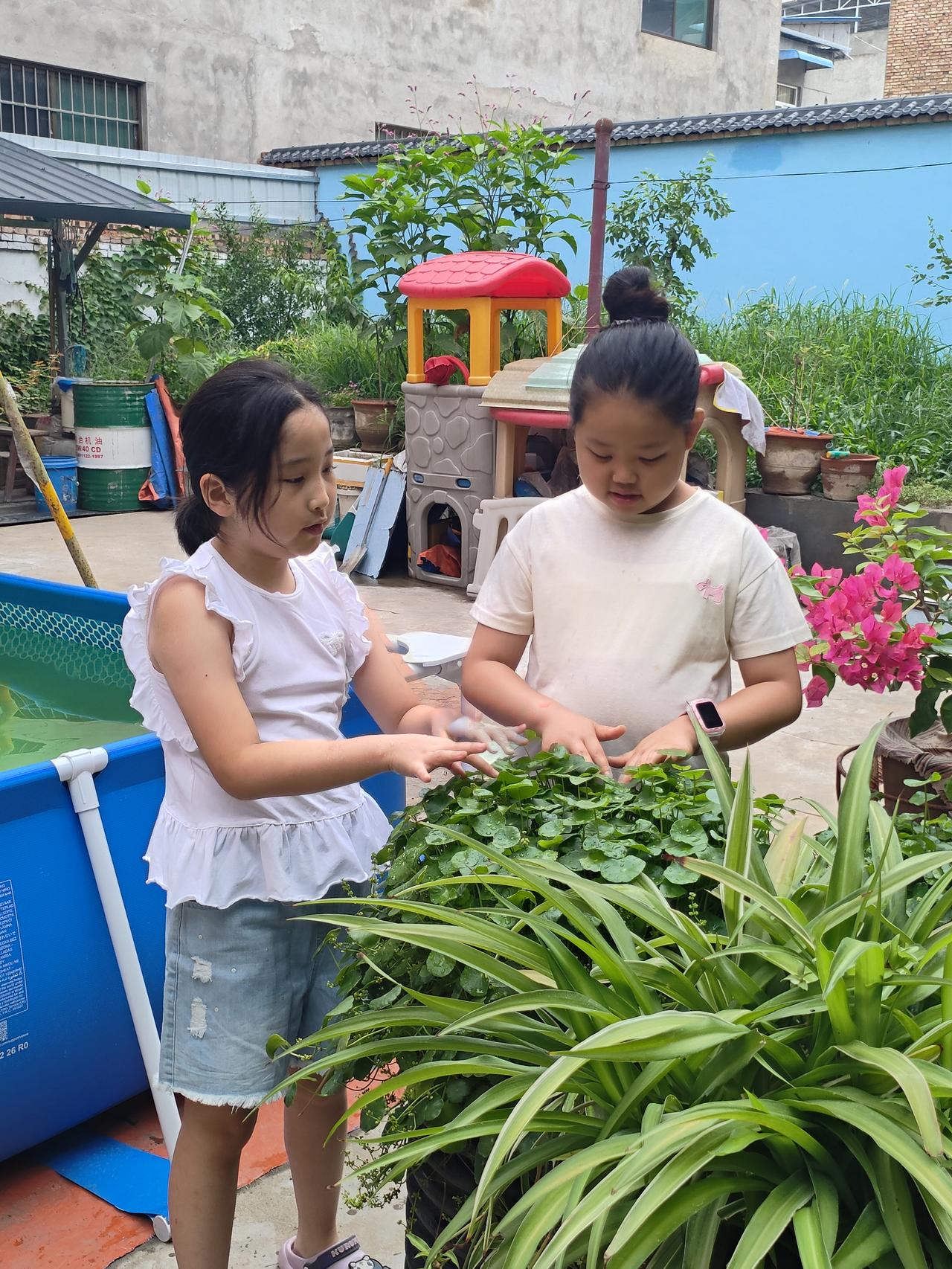 夏日生活打卡季一方农家小院，两个快乐的小身影，嬉笑打闹，自在玩耍，留存最纯真的童