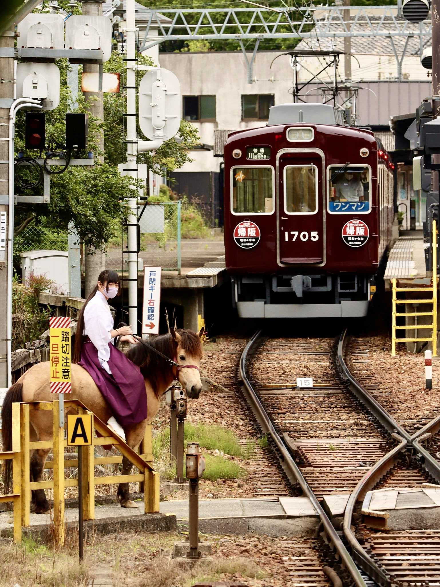 吉川八幡神社的马儿和电车 