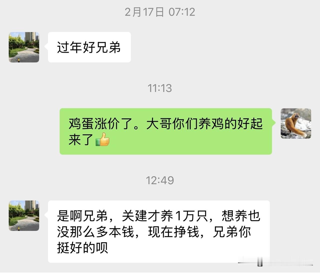 【鸡蛋涨价是好事，给养殖户回回血】昨天在普兰店一个超市买鸡蛋，发现涨价了，5元3