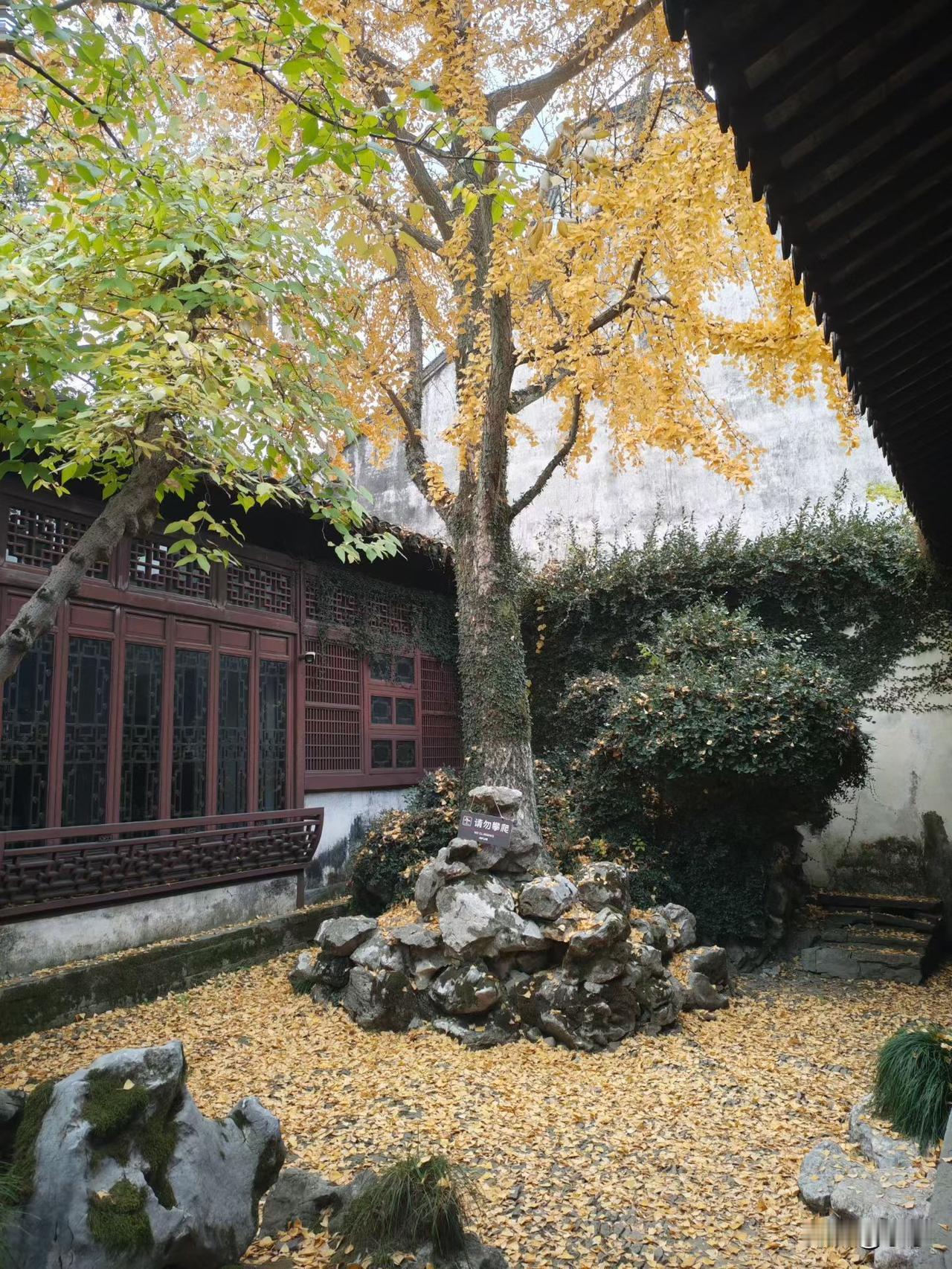 在当地的一个贷款平台，把我和老公，还有弟弟的微信支付还有银行卡冻结了。

贷款平