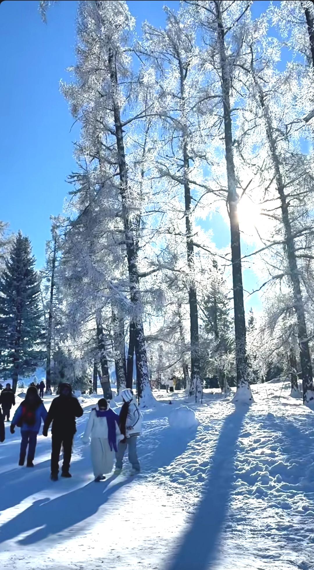 你身边有被东北话带偏的朋友吗？
我身边还真有被东北话带偏的朋友。之前大学宿舍有个