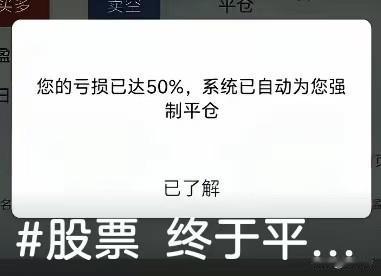 看着弹窗上亏损过半、被系统强制平仓的提示，心里只剩说不出的落寞。原本抱着期待入场