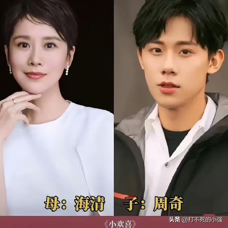 在戏里演过母子的四对！
小欢喜里，海清和周奇演过一对母子，一对欢喜冤家！
少年派