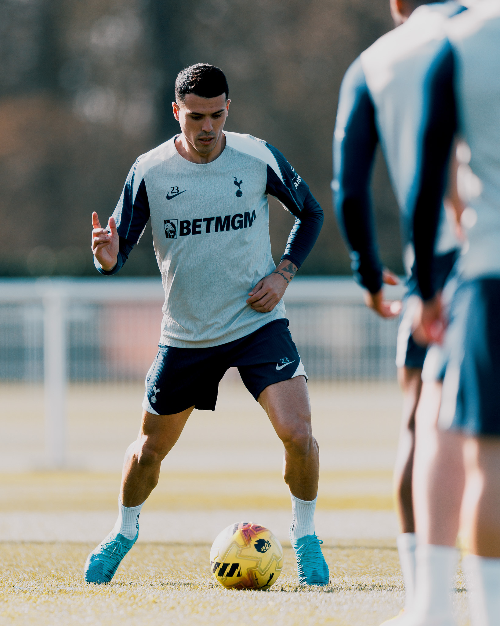 丹索、波罗回归训练 