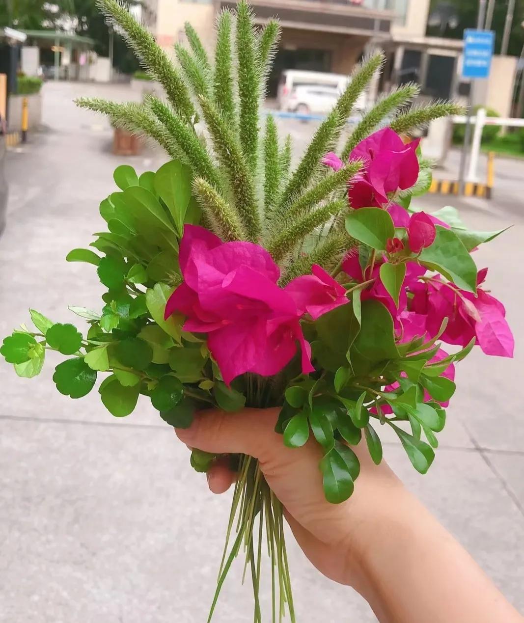
生活中从不缺少美，而是缺少发现美的眼睛，有了一双发现美的眼睛，生活中的一切都变