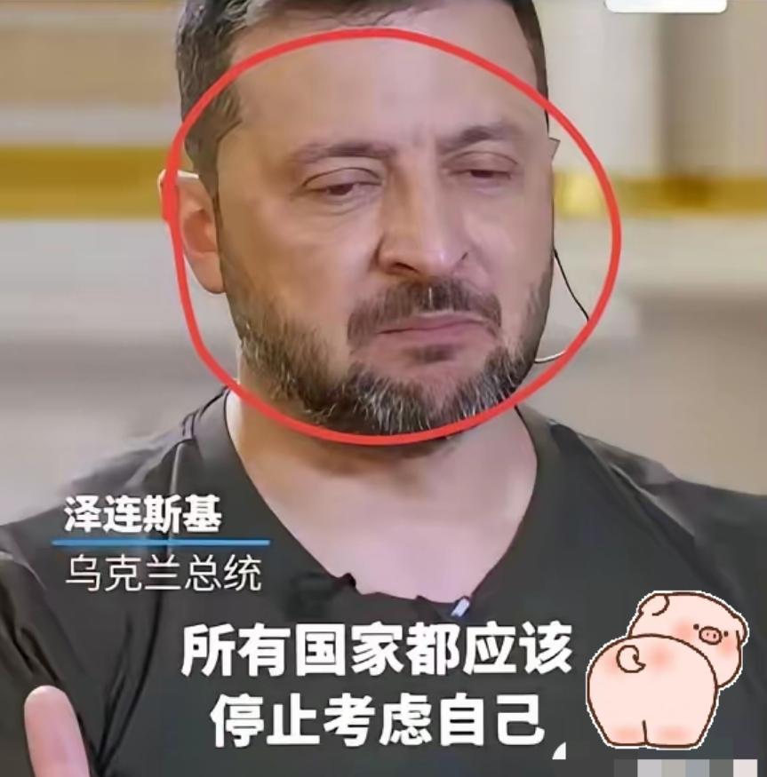 泽连斯基终于后悔了！大家发现没有，现在很少看到泽连斯基外出演讲，访问，都是躲在家