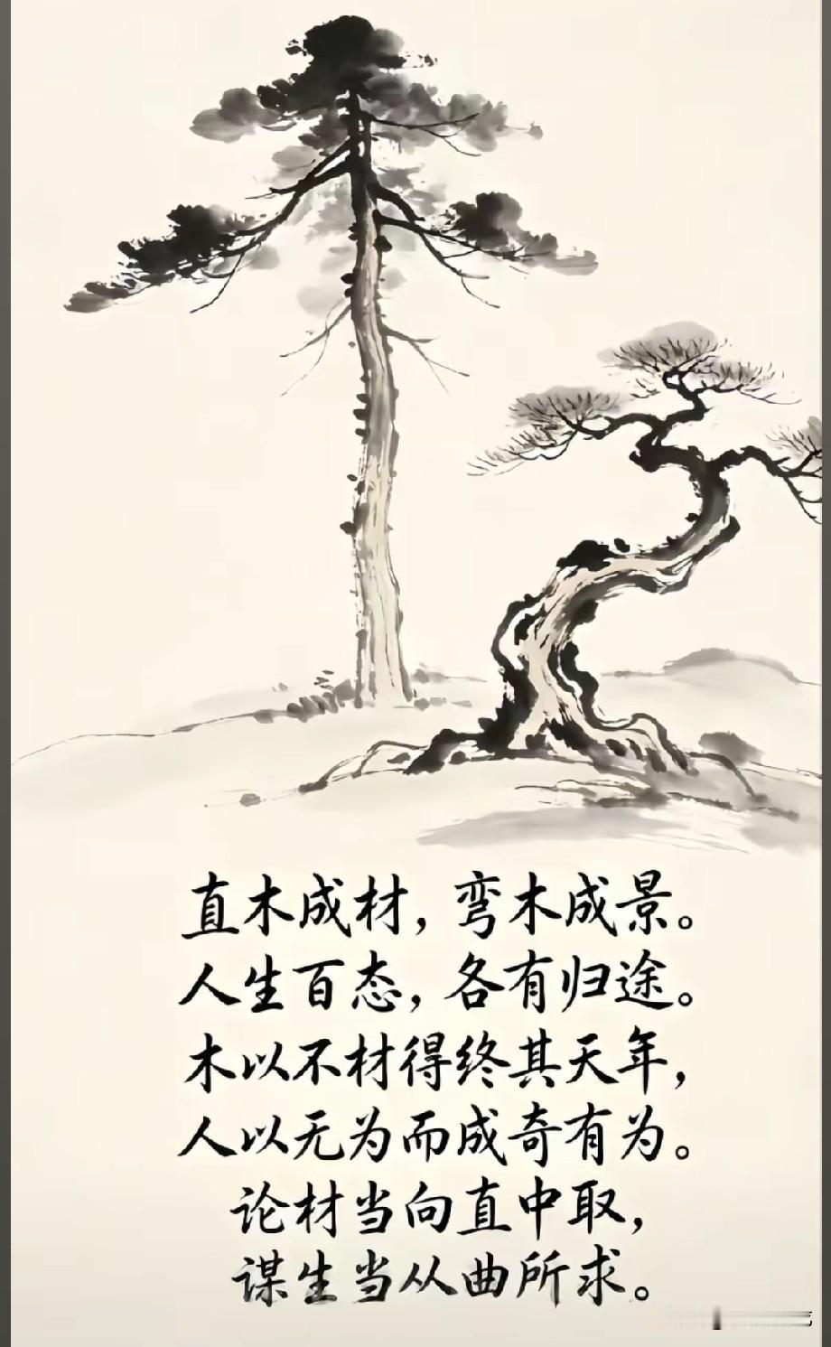 直树成材，
弯木成景。
论材当向直中取，
谋生当从曲中求！