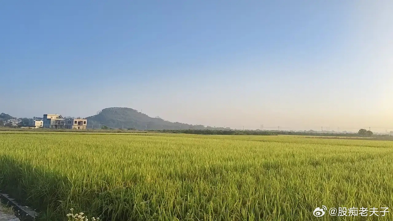现在有个挺让人担心的现象：美股还没怎么大跌，咱们的双创板块已经先跌了30%-40