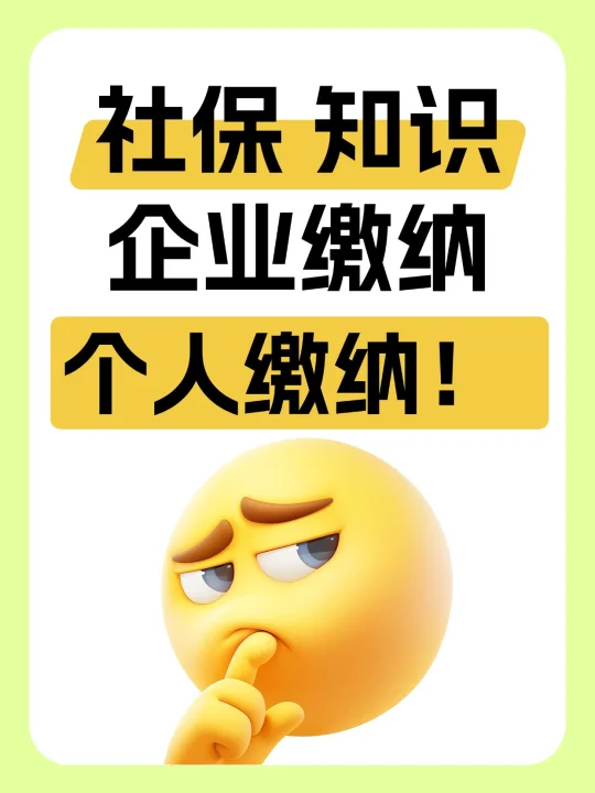 社保知识 企业缴纳 个人缴纳