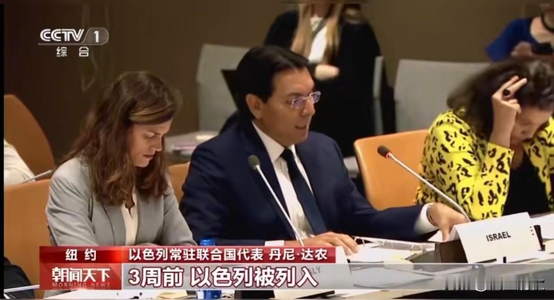 联合国会场当众失态！以色列代表完全不顾多国立场，外交体面碎一地
 
联合国本是各