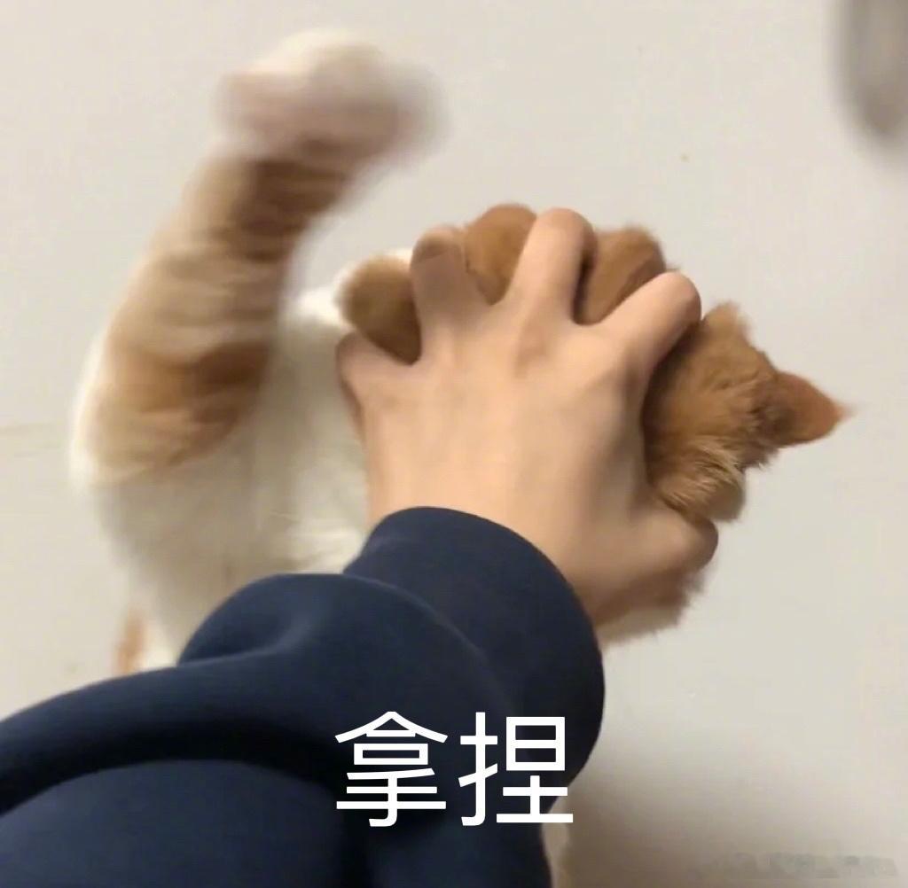最容易被拿捏的星座：巨蟹：你对他好一点，他就掏心掏肺双鱼：你说几句甜言蜜语，他就